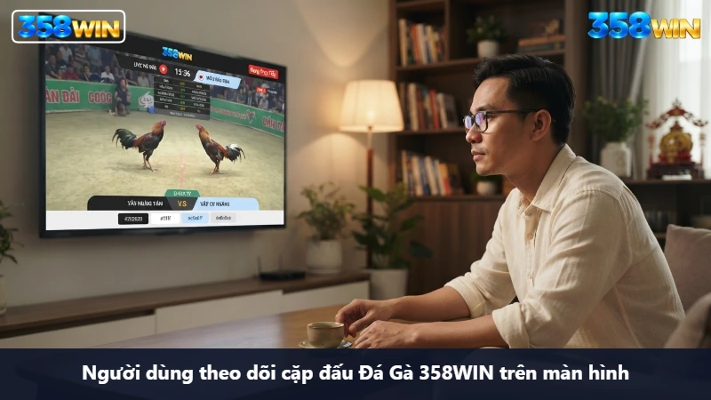 Người dùng theo dõi cặp đấu Đá Gà 358WIN trên màn hình